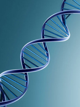 DNA